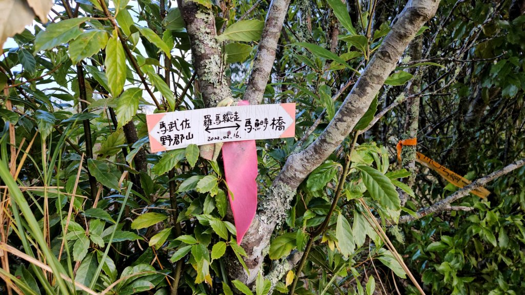 追趕跑跳蹦的羅馬縱走_2666267