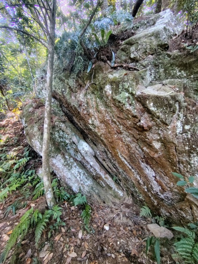 唐麻丹山 蝴蝶谷_2918989