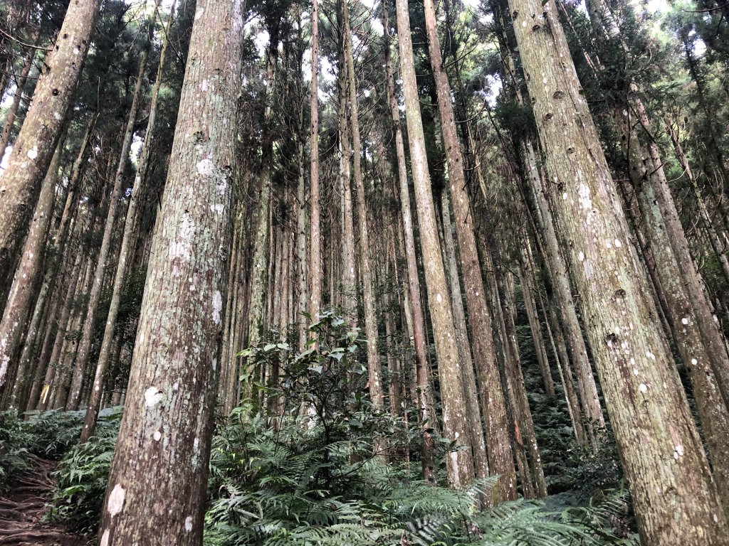 2020/09/13高島縱走P繞_1101688