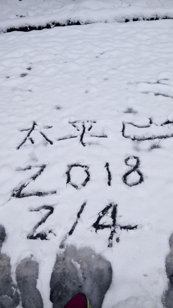 2018/2/4太平山見晴步道_287787