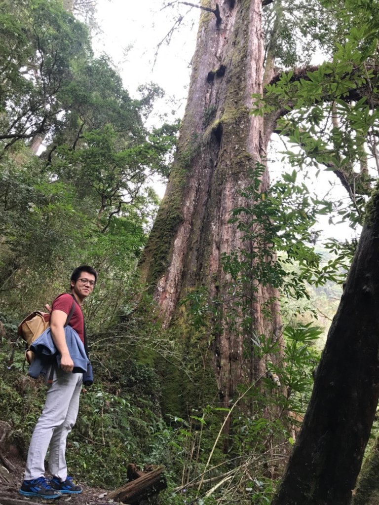 步道巡訪員 l 鎮西堡步道3月巡訪日誌_877768