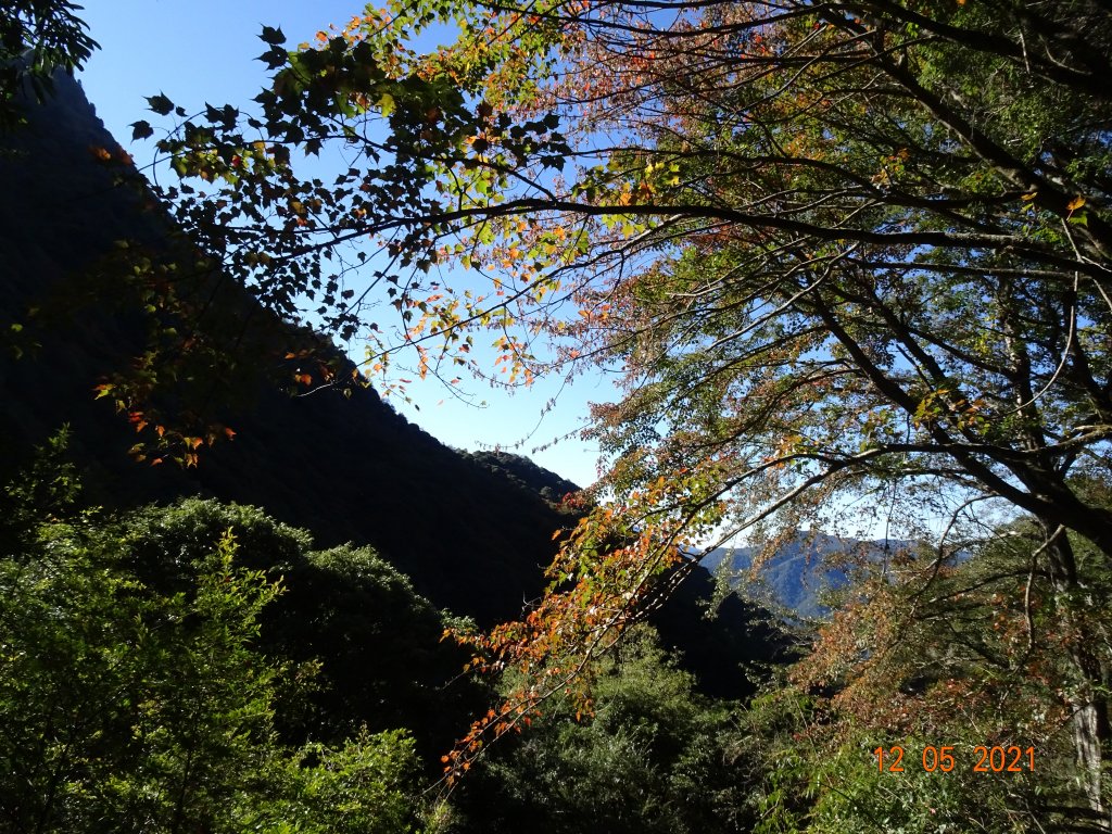 石水山及玉山林道封面圖