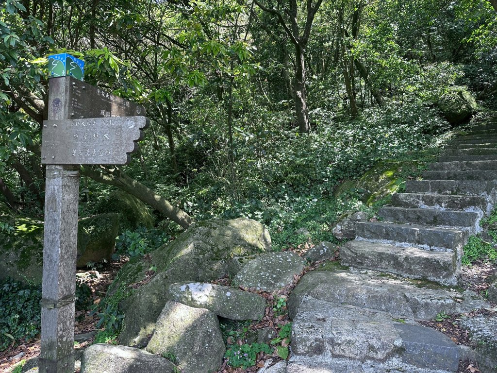 台北大縱走第四段封面圖