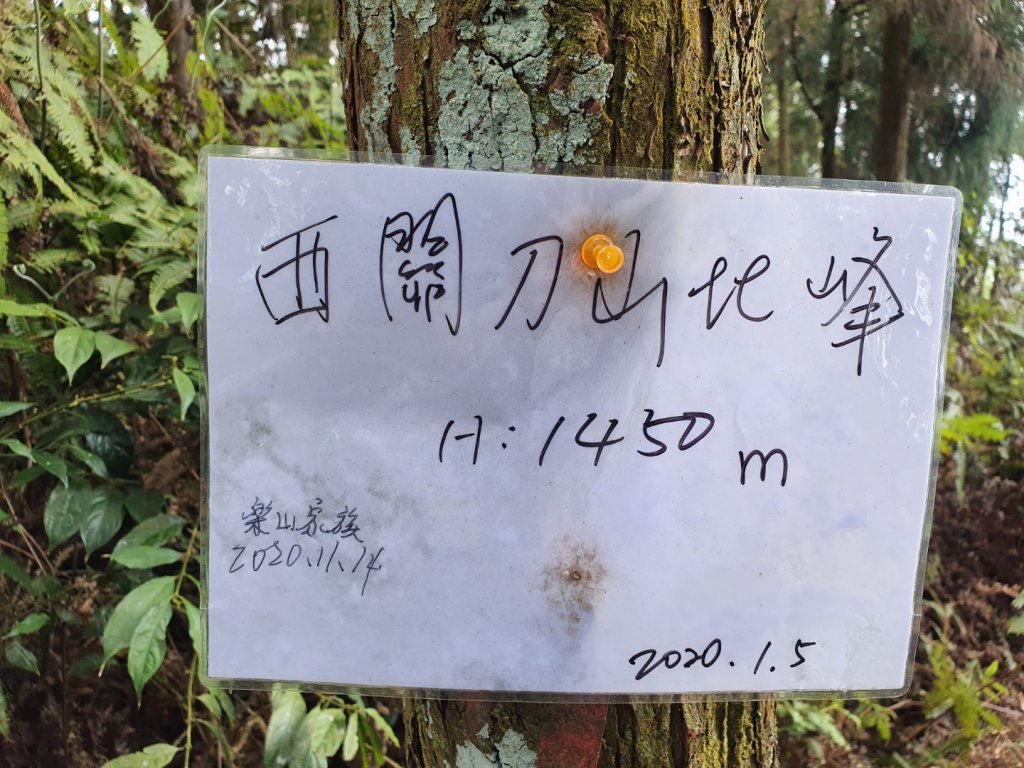 埔里關刀山步道（埔里六秀）_1378399