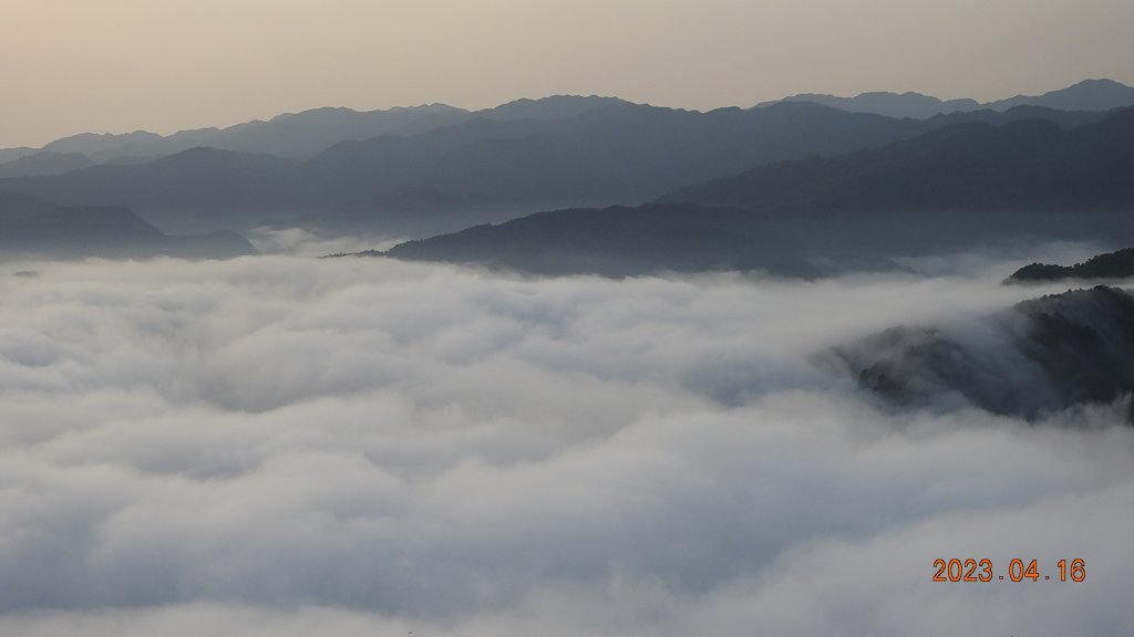 翡翠水庫壩頂(新店四十份)再見日出雲海+賞 #松月櫻 &桐花_2114886