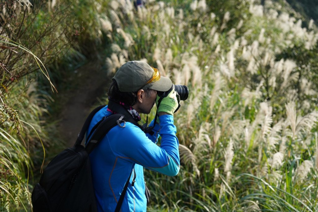 【金瓜石】漫山芒花怒放浪漫，礦山藍海奇景夢幻！_2964281