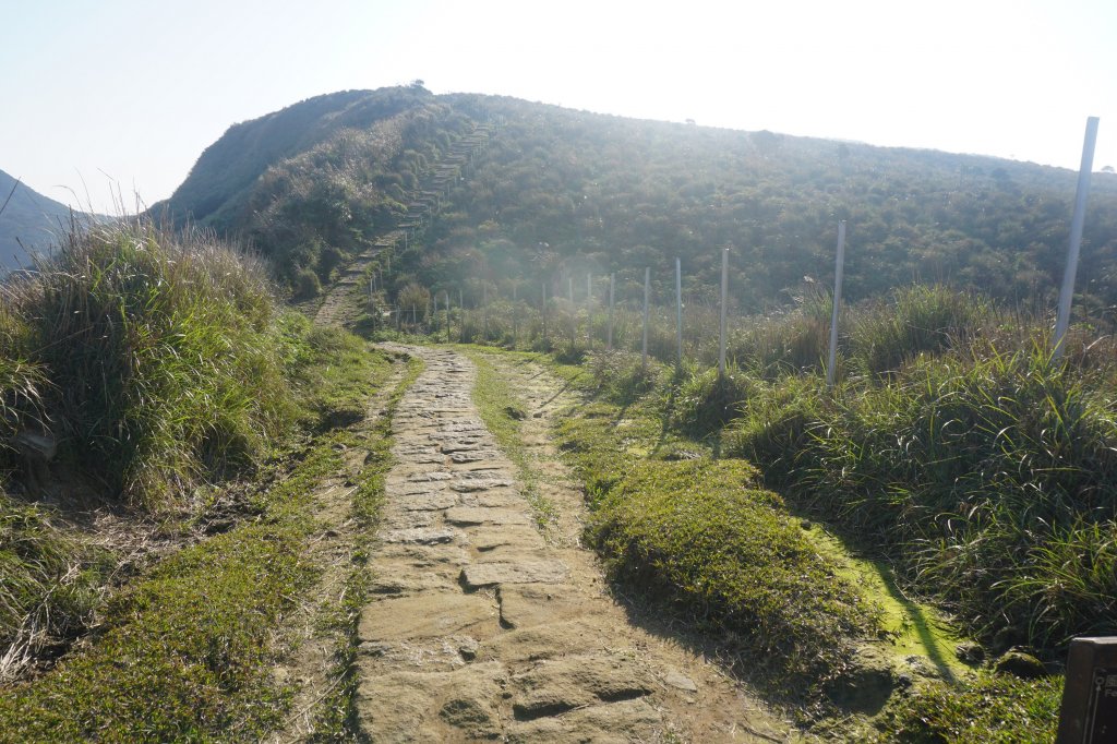 古道探訪｜風擎古道_1259940