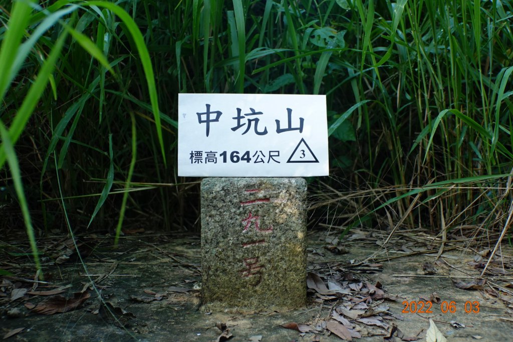 嘉義 大林 中坑山封面圖