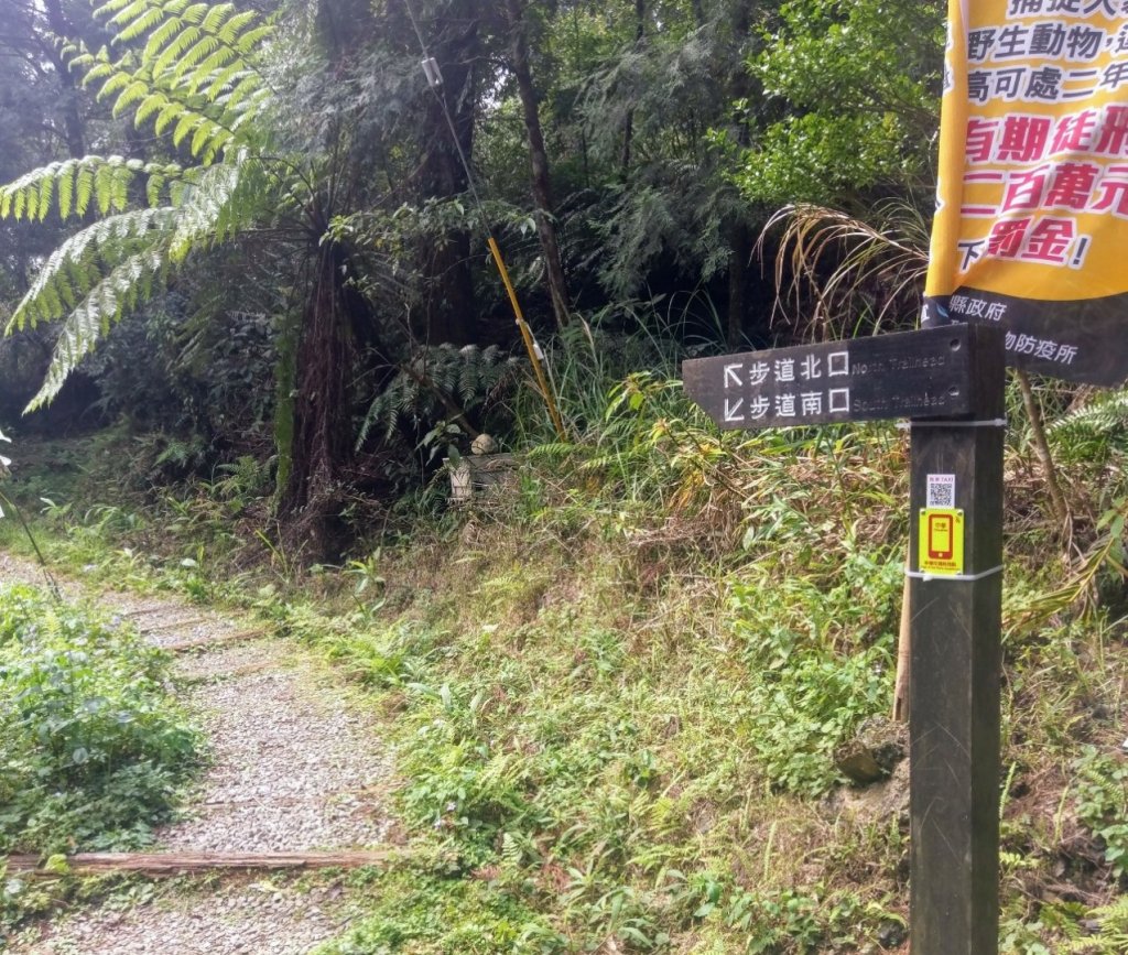 步道巡訪員│跑馬古道 第3巡 通訊點_870265