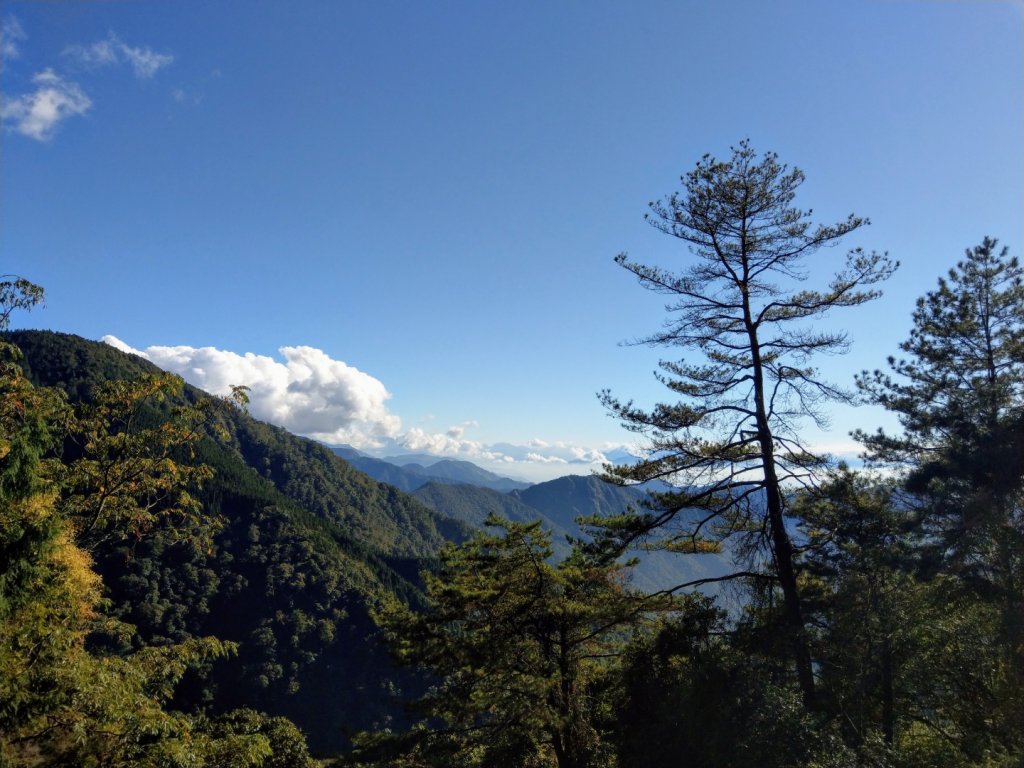 谷關七雄之屋我尾山（3）（大雪山登山口）_755843