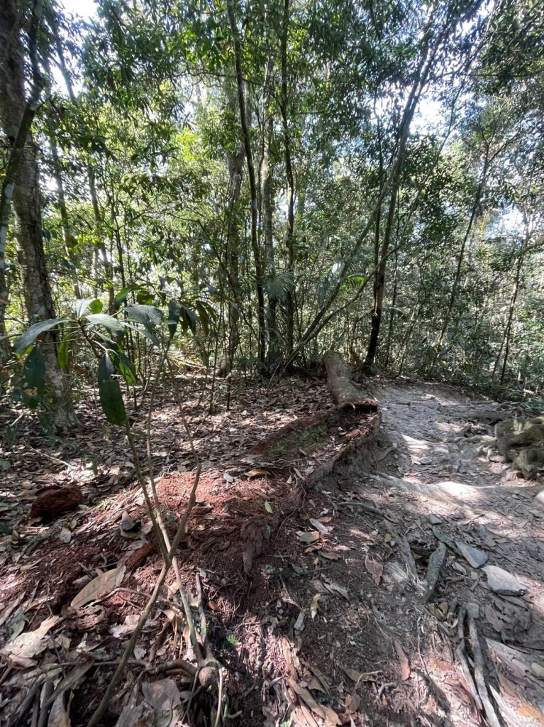 230219-告別寒假，挑戰魔王小百岳#073 尾寮山。美美兔咬牙慢走8小時。_2040903