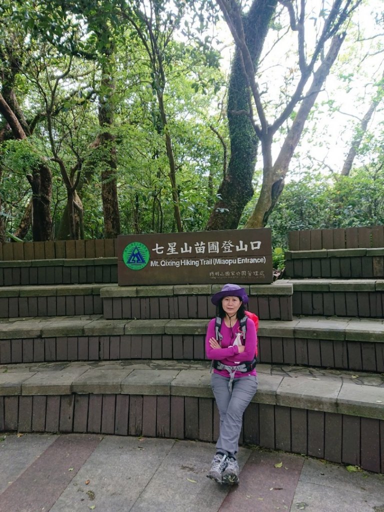 天母水管路步道、紗帽山、七星山來回走_1662115