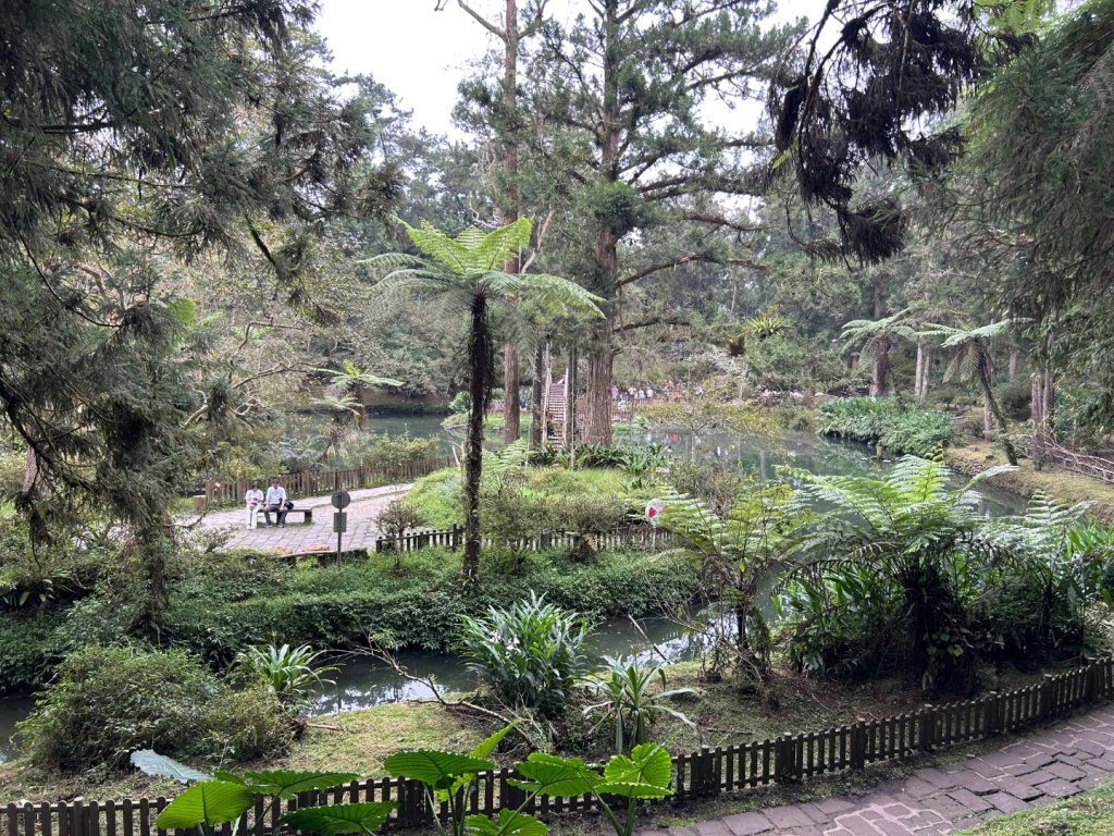 小百岳NO.48 彰化橫山。八卦山  猴探井 溪州公園，溪頭，杉林溪，大崙山銀杏茶園 中寮龍鳳瀑布_2910024