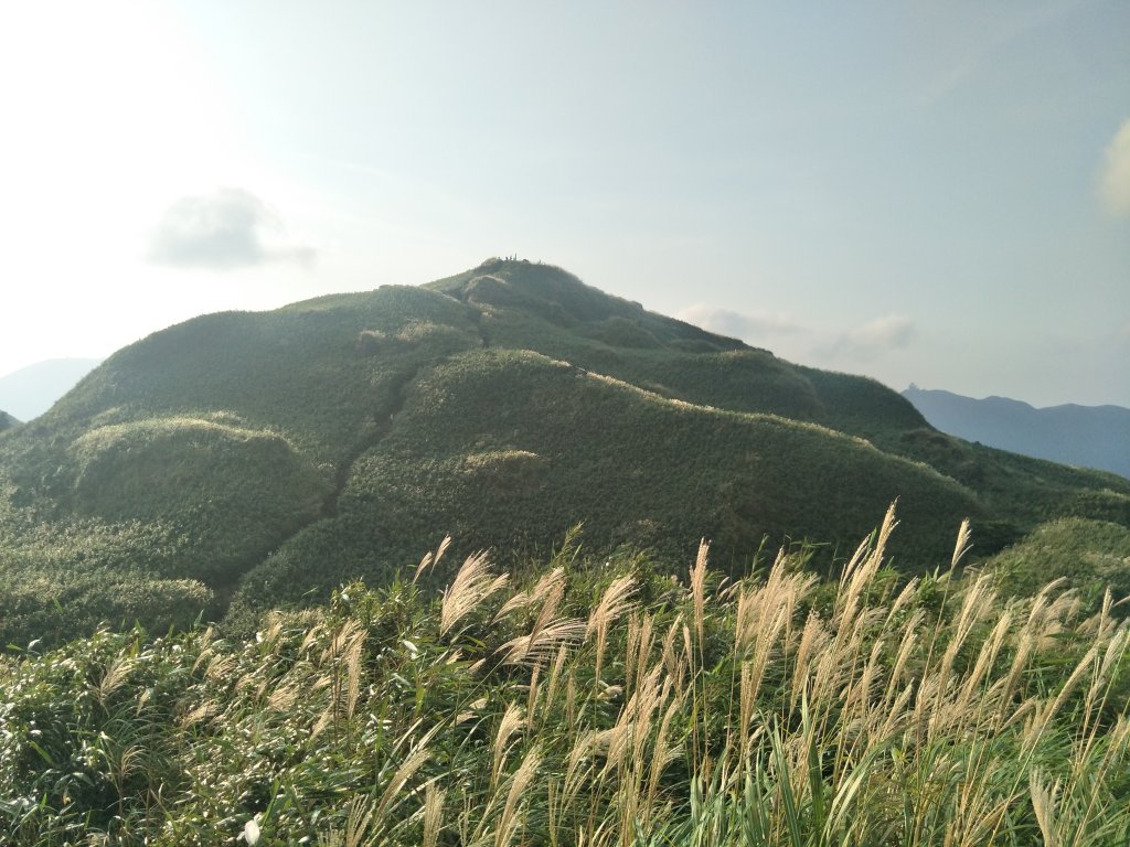 七星山主、東峰登山步道_1682167