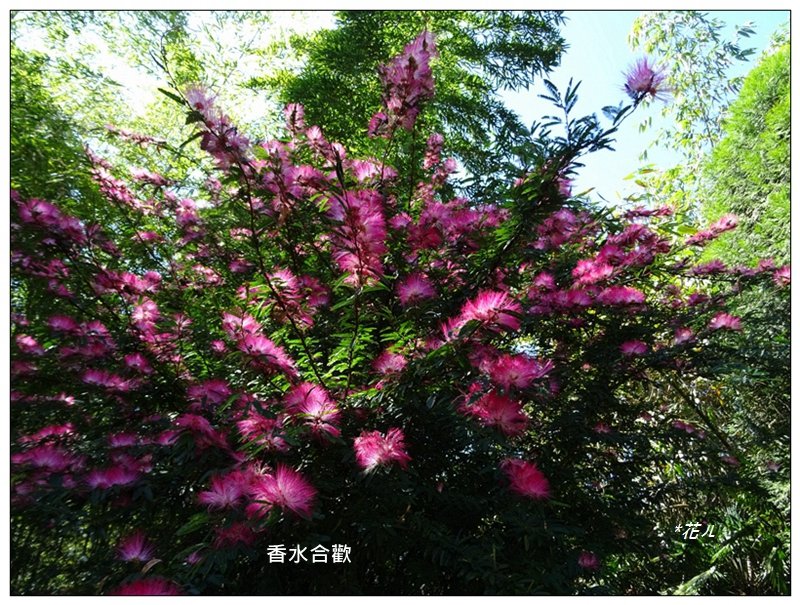 隙頂山/嘉義、番路_1617500