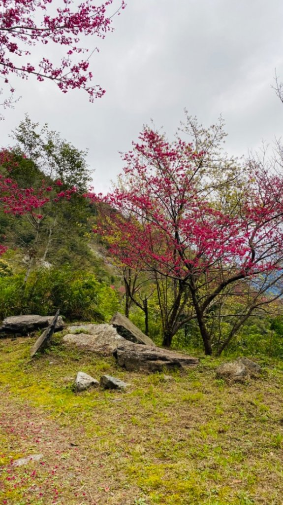 小鬼湖林道上亞泥迪山_1276944