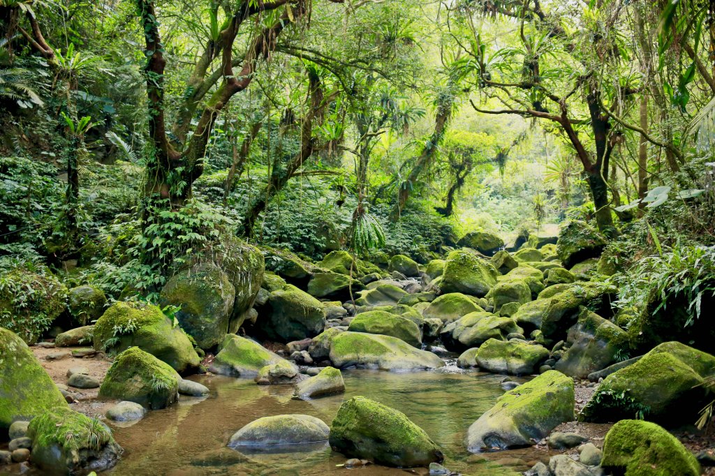 南坪古道：油羅溪上游封面圖