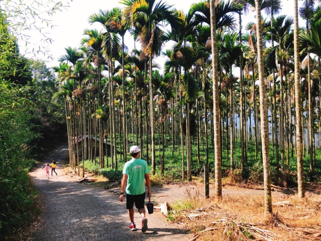 金龍山步道_465640