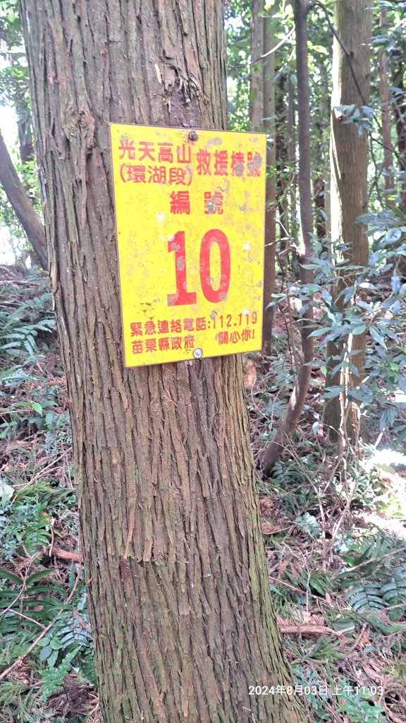 2024.8.3  (苗栗南庄)三角湖山+向天湖山_2573929