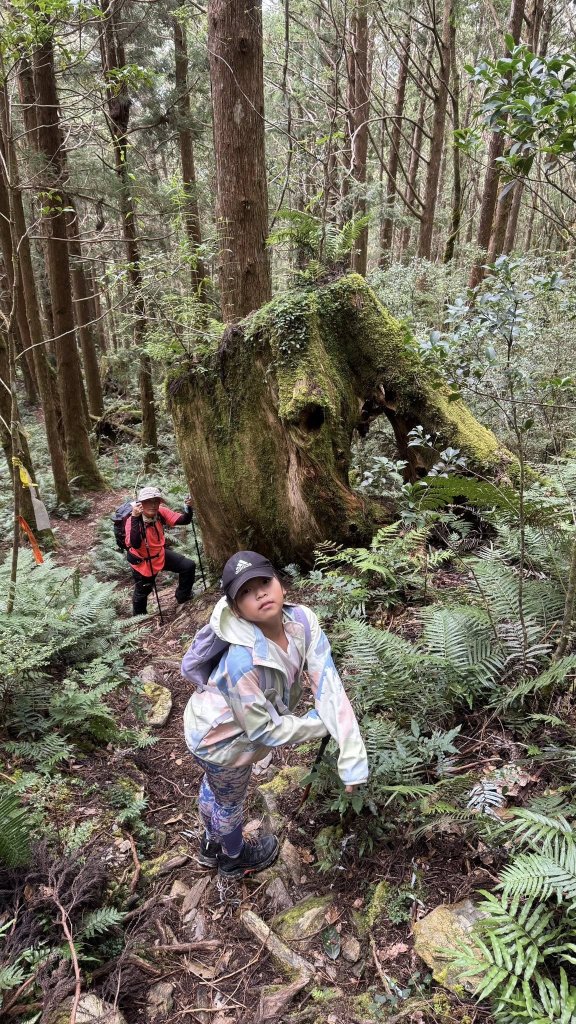 20250913小百岳三星山_2885219