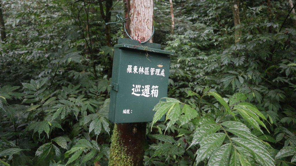 冷埤登山健行趣_2447582