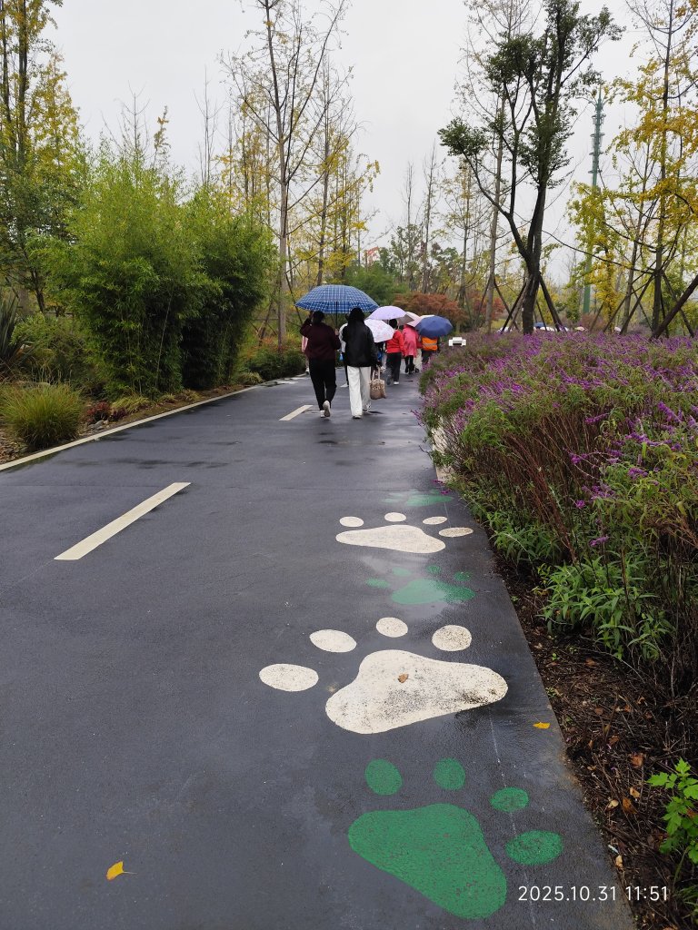 四川成都大熊貓繁育研究基地_2940745