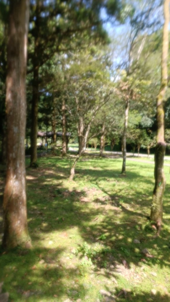 百大：福山植物園_1748217
