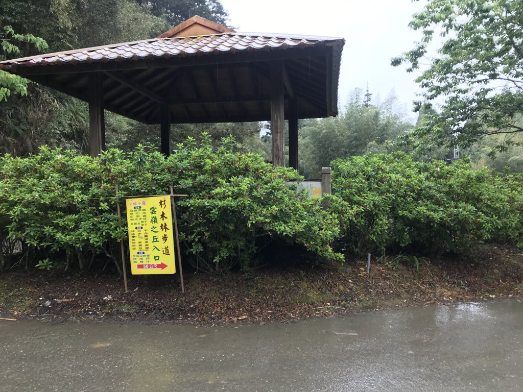 110年4月25日雲林  雲嶺之丘 五元二角 木馬古道_1456553