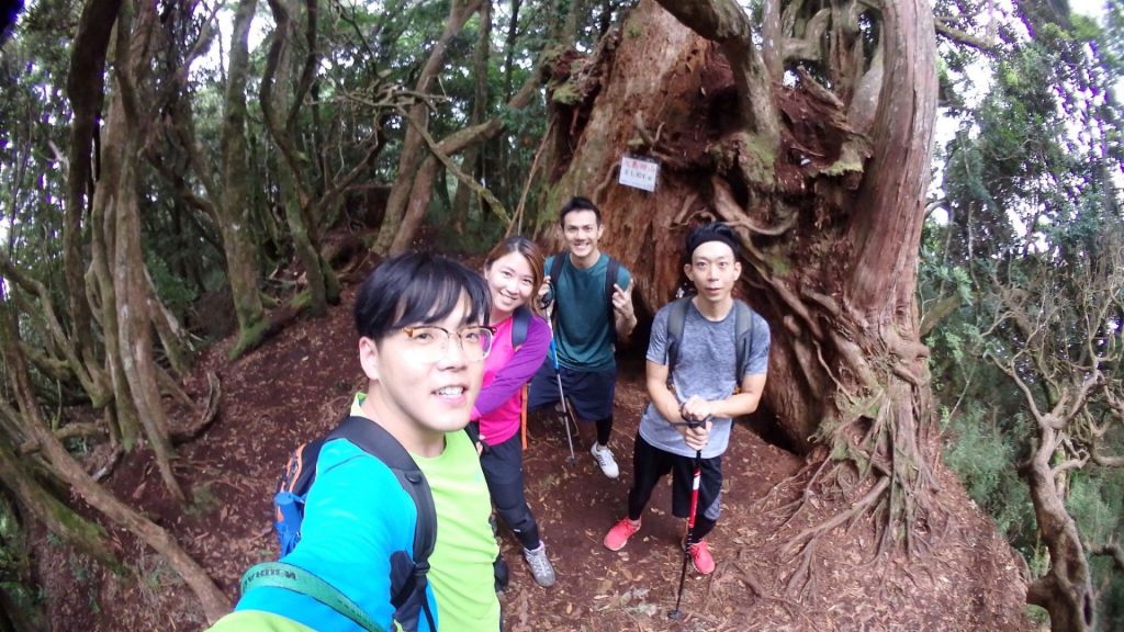 2018.08.04 高台山連走島田山_378736