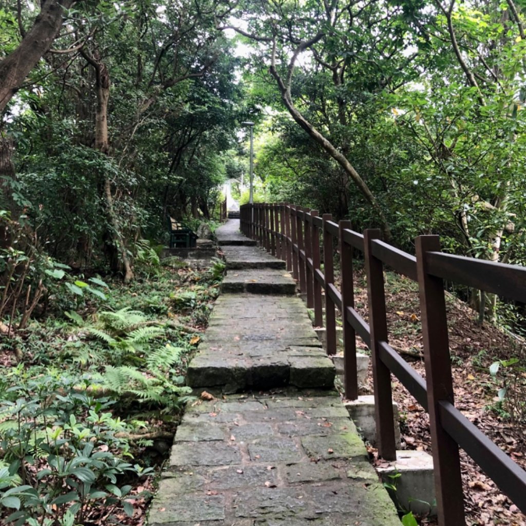 31.大湖、碧湖，雙湖健走_1754820