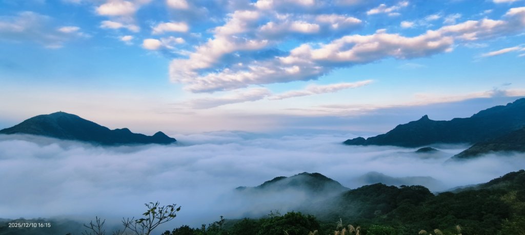 #樹梅坪 #金瓜石 12/10封面圖