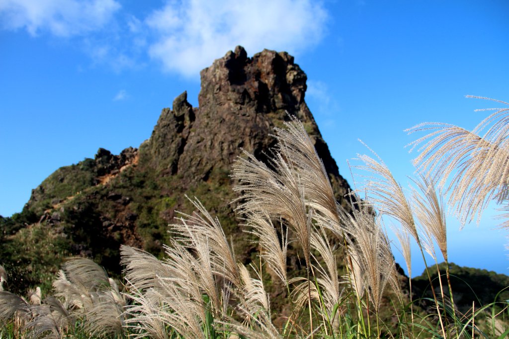 【金瓜石】漫山芒花怒放浪漫，礦山藍海奇景夢幻！_2964145