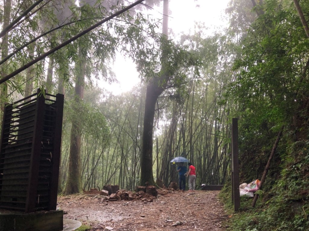 頂湖步道再訪芙蓉山、大凍山、霹靂山_637333
