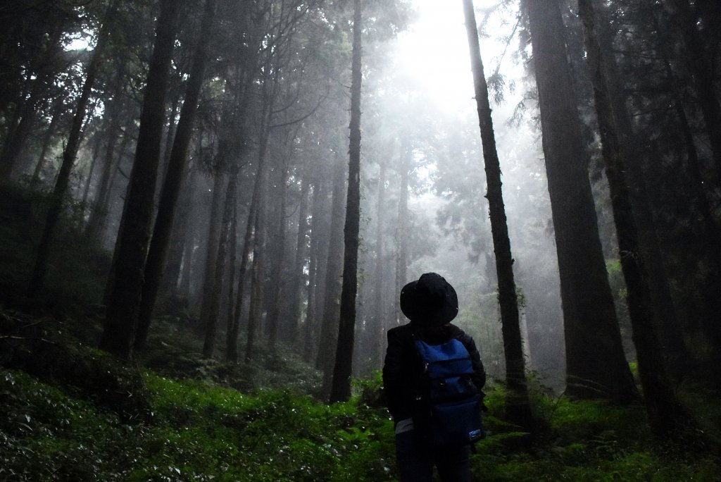 20221018公車旅人阿里山手扎:_1141946