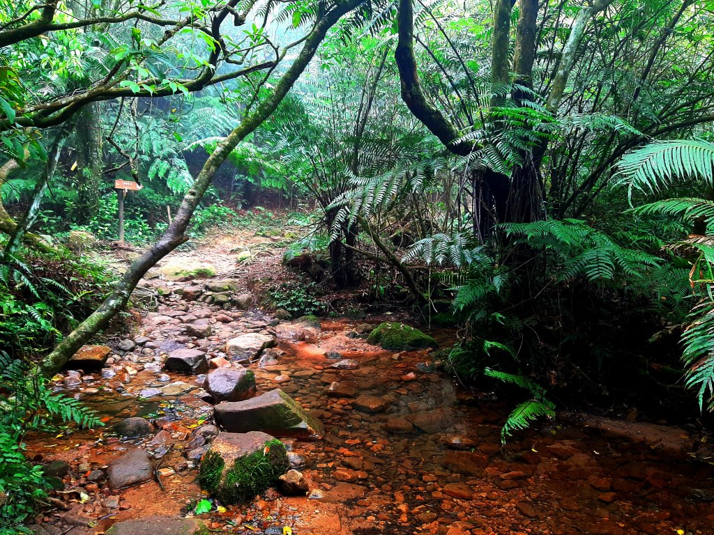 臺北大縱走4｜大湖公園捷運站至風櫃嘴_2472329