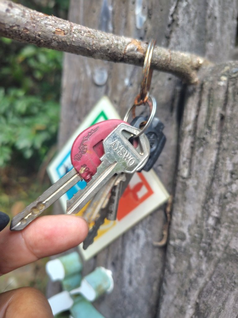 唐麻丹山 蝴蝶谷_2919003