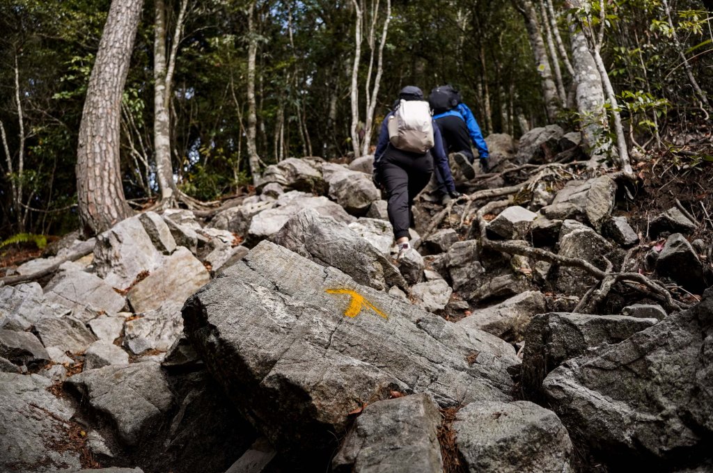 鳶嘴稍來山｜鳶嘴山稍來山O型縱走_2987978