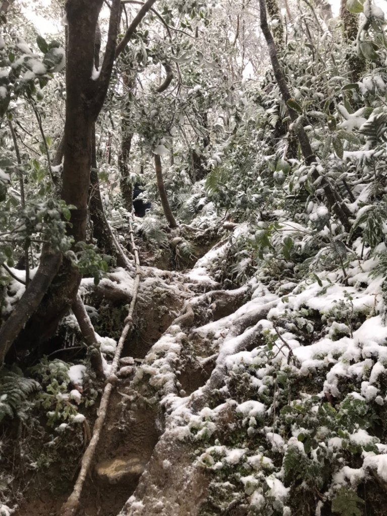 “那一夜，祂白了頭” @卡保山_1233813