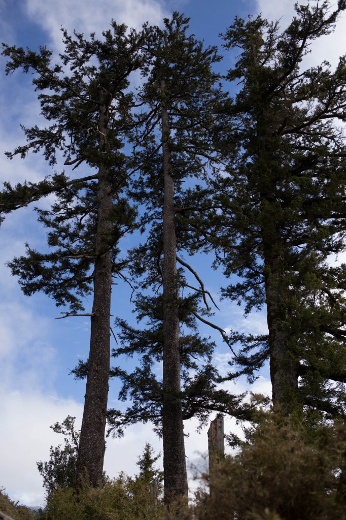 【高雄】多尾蘭山+玉穗山_870593