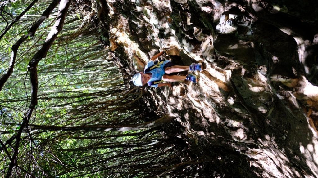 偷吃步的屋我尾山_1619940