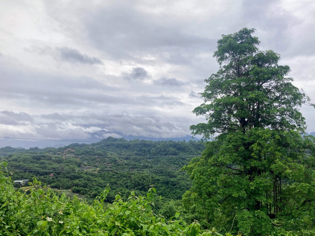 阿罩霧山_2600929
