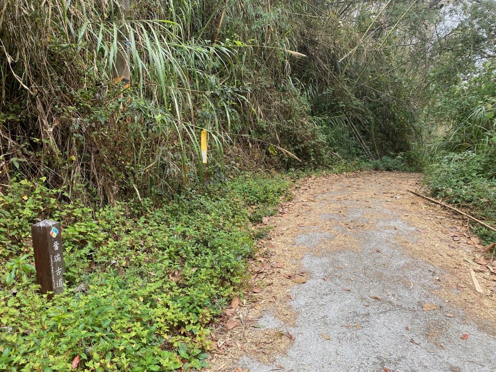 1120329奮瑞古道_2643515