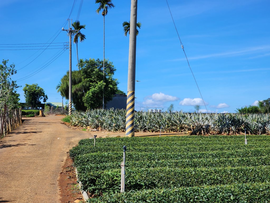 小百岳No.48⛰橫山_2532036