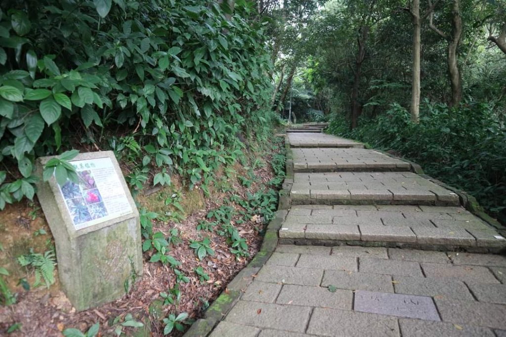 小百岳NO.13南港山，南港山北峰，九五峯_2285584