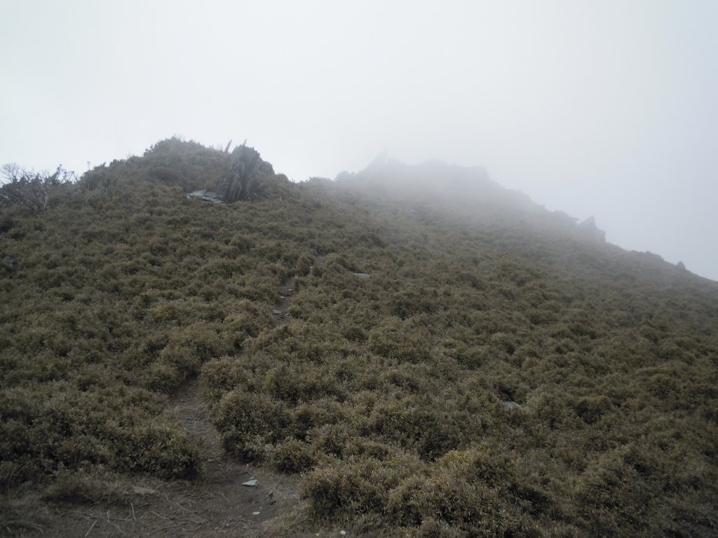 嘉明湖&向陽山+三叉山20140321_1958802