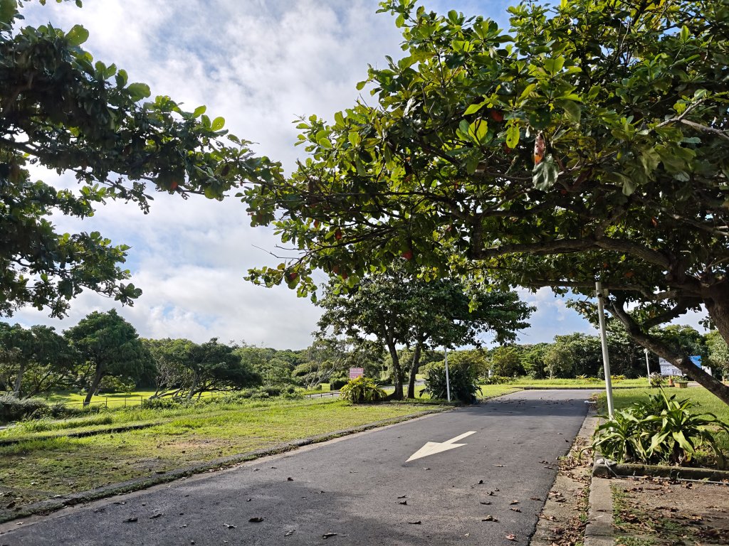 [百山百鳥尋旅-02/15] 2025_0809 社頂自然公園步道_2856877