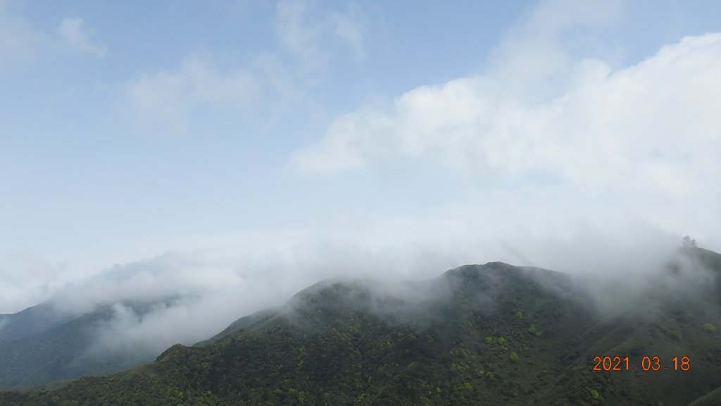 0318&28&31龜島曉日槓龜陽明山再見雲海&雲瀑封面圖