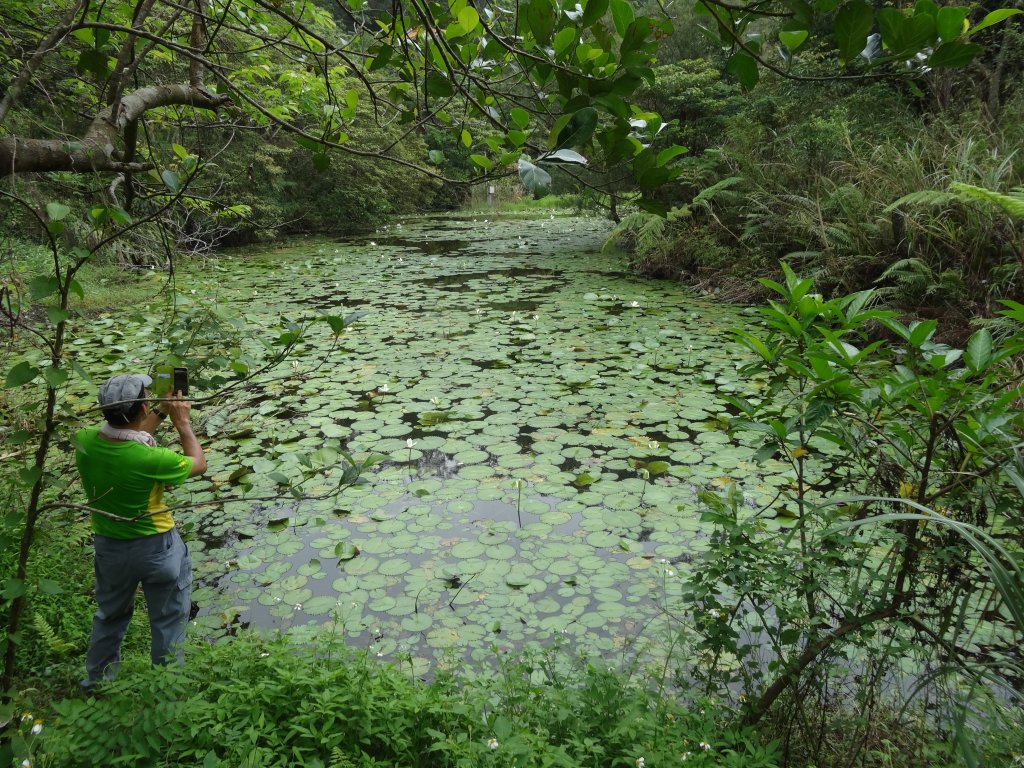 石碇湳窟山步道封面圖