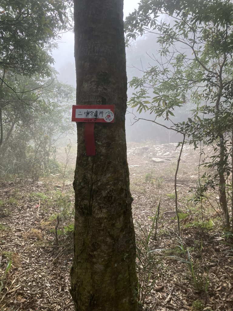 20231118-19六龜警備道_藤枝段_2352983