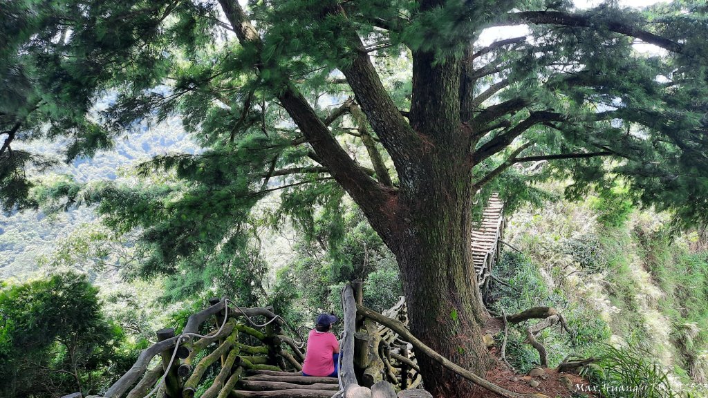 《台中》虎頭蜂巢｜大坑5號登頭嵙山黑松亭（聖普宮）20250809_2855122